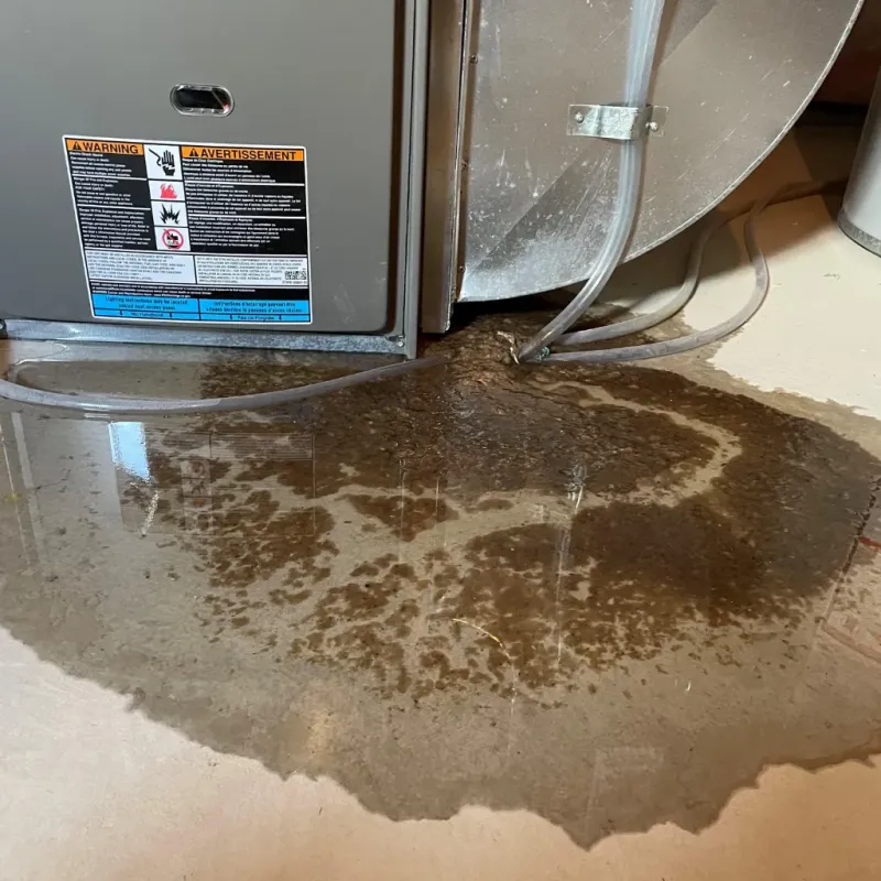 Appliance Leak Cleanup in McCurtain County, OK